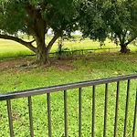 Tranquil Retreat Meets City Convenience In Railway Estate