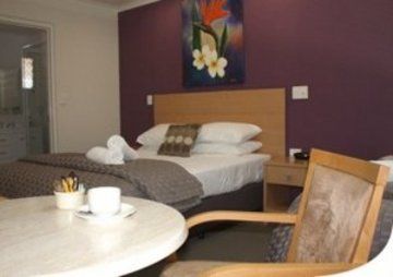 Summit Motel 3*