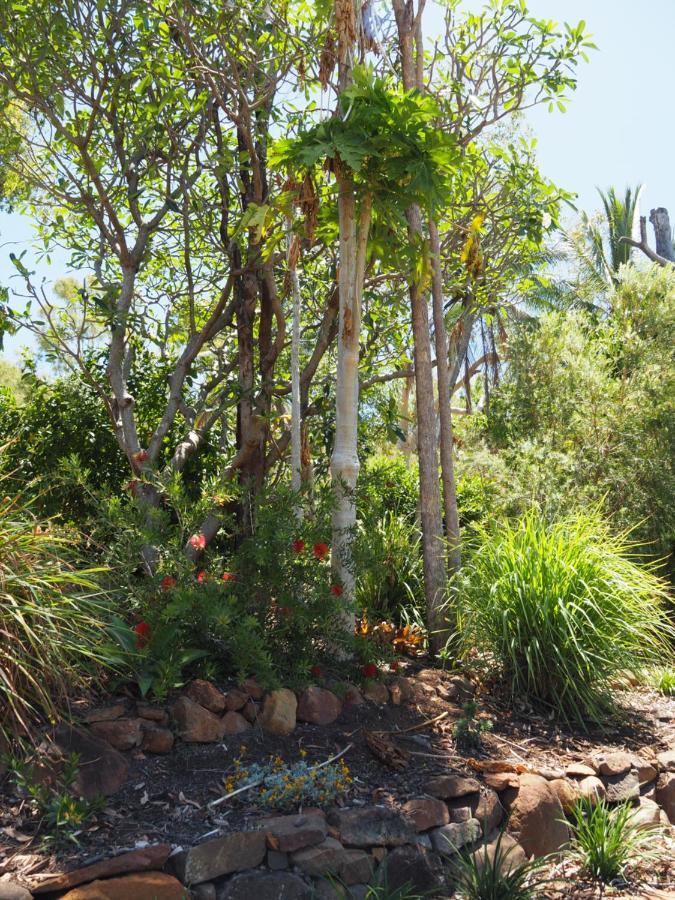Sunbird 3* Townsville