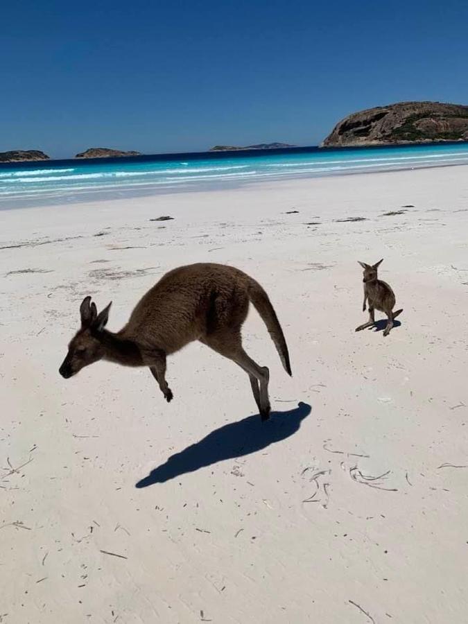 Executive In North Ward And On Magnetic Island
