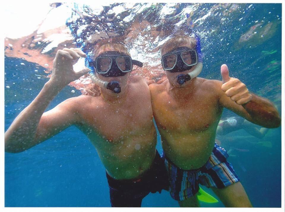 Executive In North Ward And On Magnetic Island * Townsville