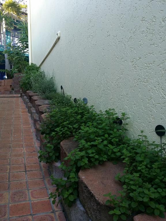 Reef Backpackers Hostel *