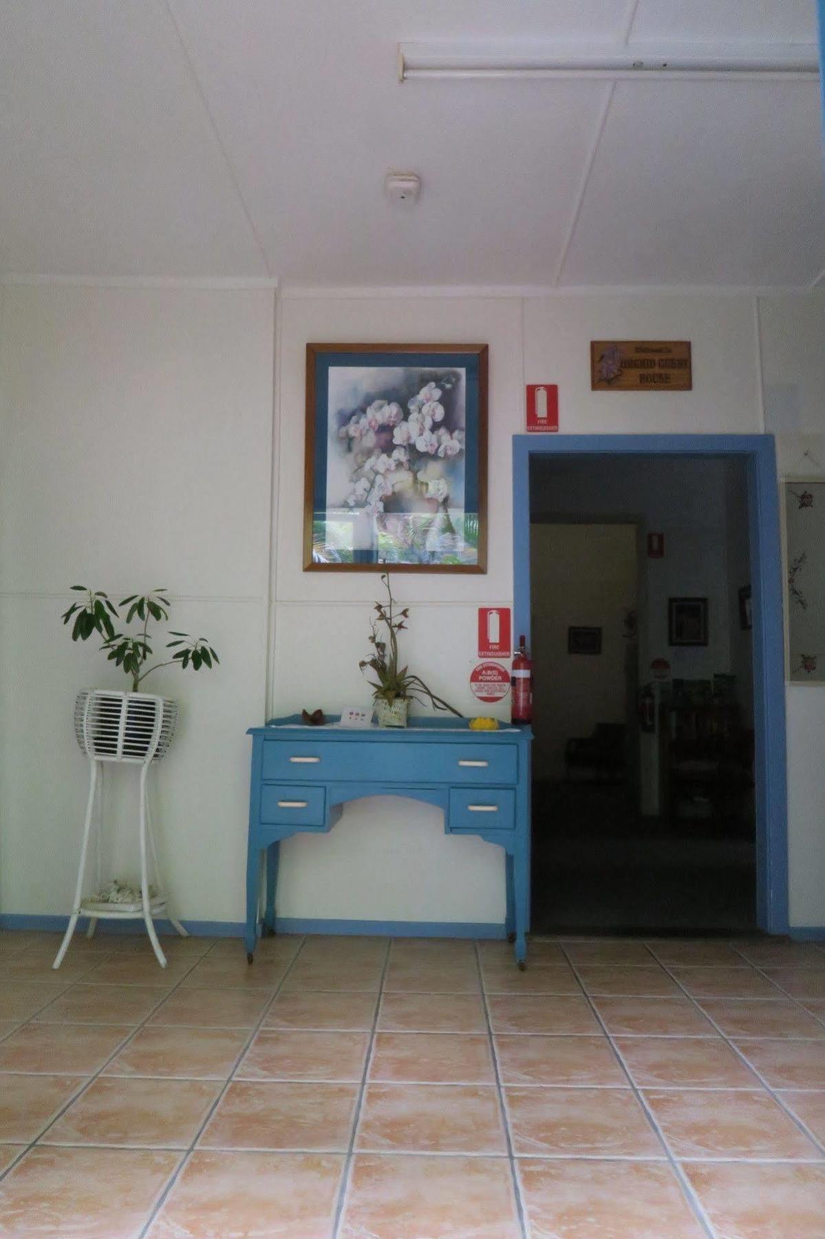 Orchid * Townsville