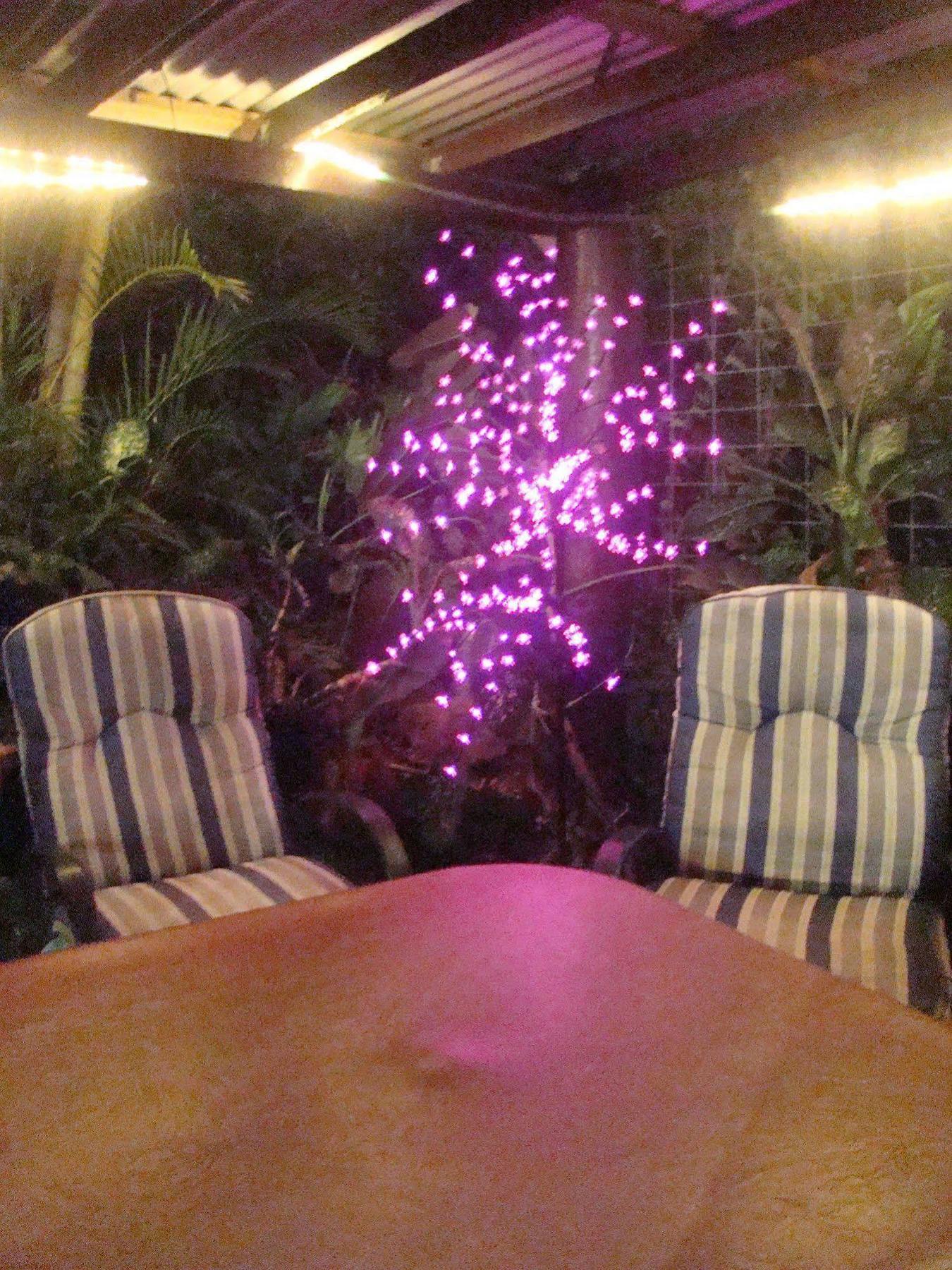Hostel Orchid *