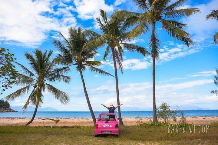 Executive Properties In North Ward And On Magnetic Island