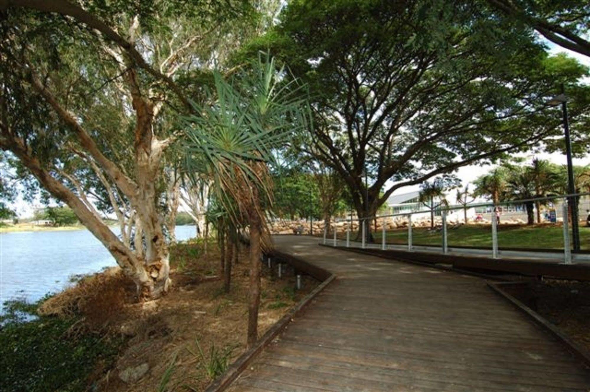 Jacana Townsville