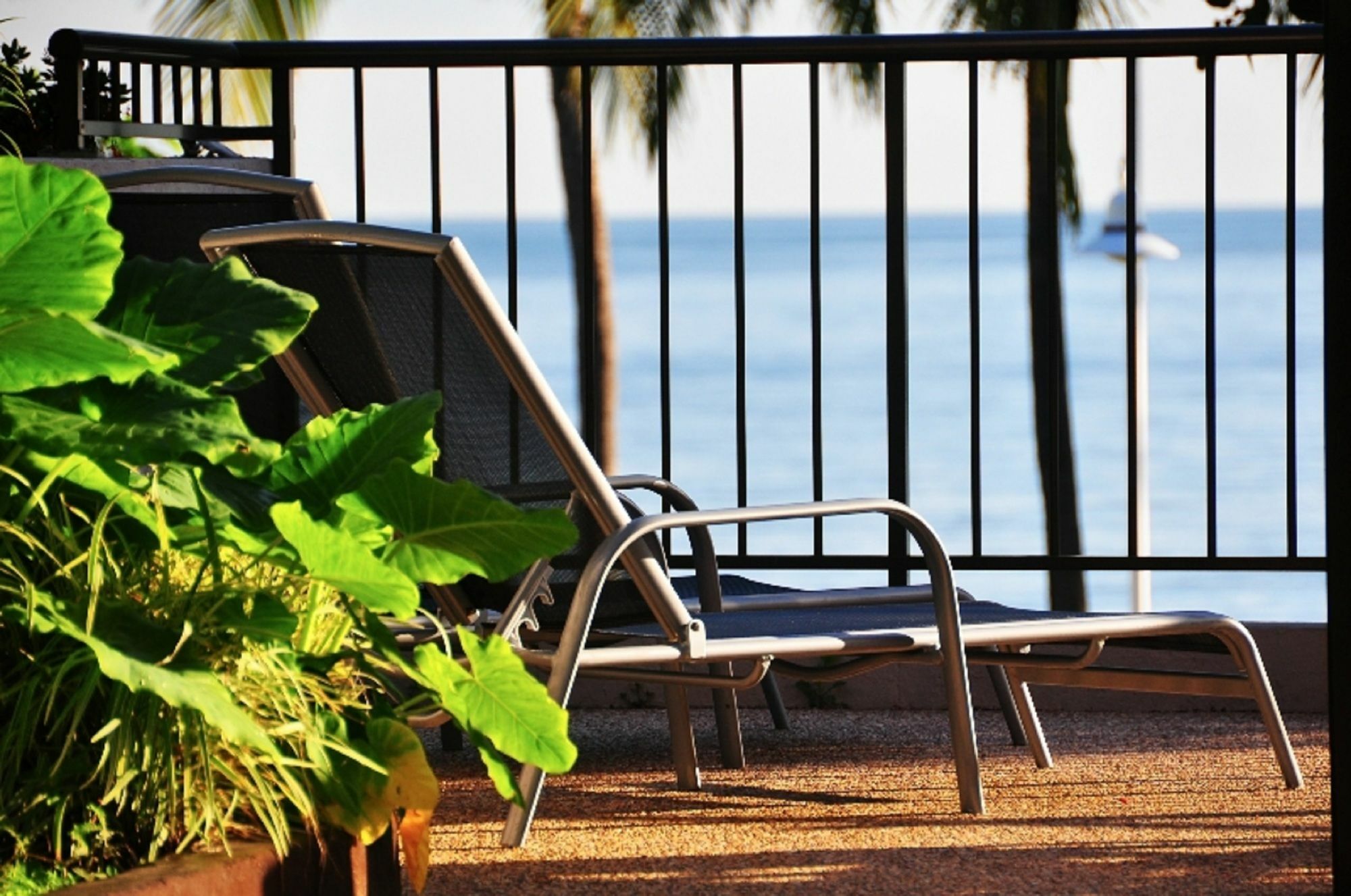 Waters Edge The Hotel